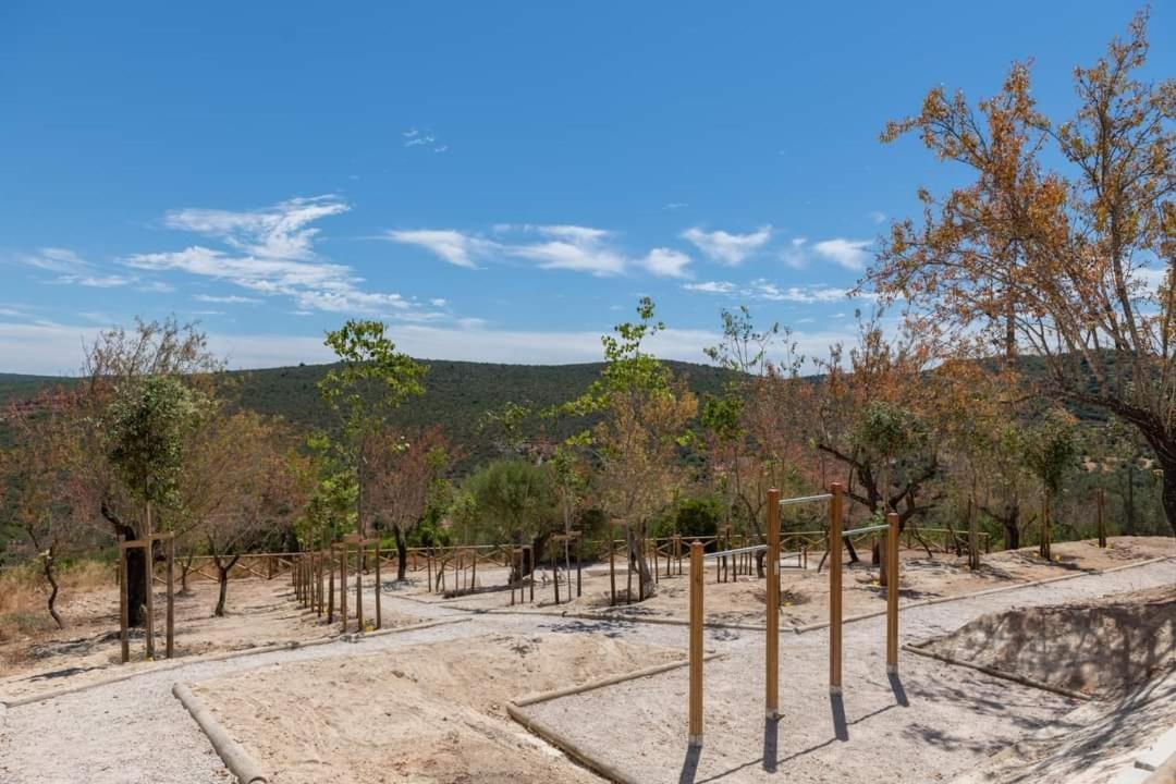 "Oliveiras" Appartement Typique Avec Terrasse Et Piscine Loule Exterior photo